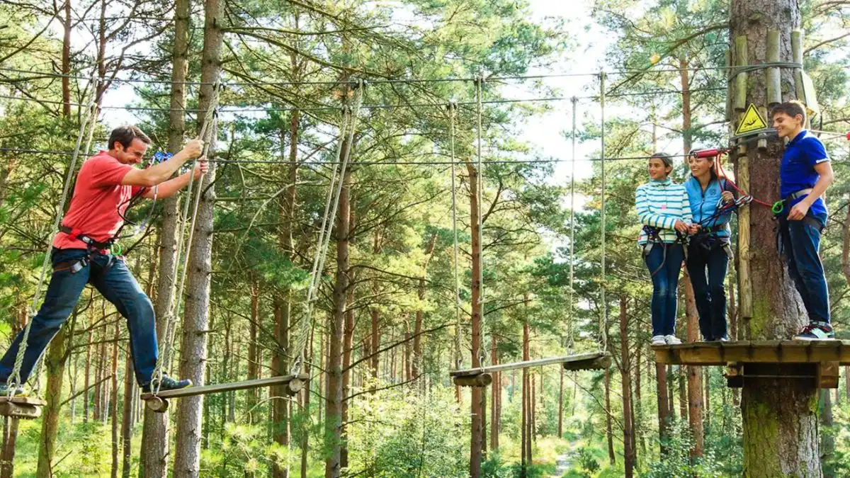 Apa Tujuan Outbound atau Team Building Cari Tahu Info Lengkapnya Disini